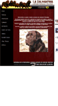 Mobile Screenshot of labradoresdelasalmantina.com