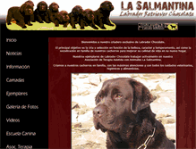Tablet Screenshot of labradoresdelasalmantina.com